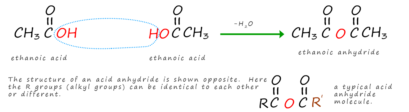 structure of a typical acid anhydride molecule